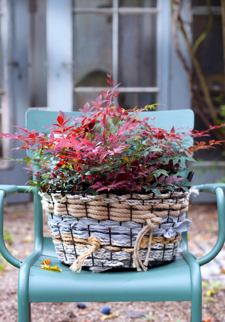 Herbstgarten, Pflanzenfreude.de Pflanzenfreude.de Klassischer Garten