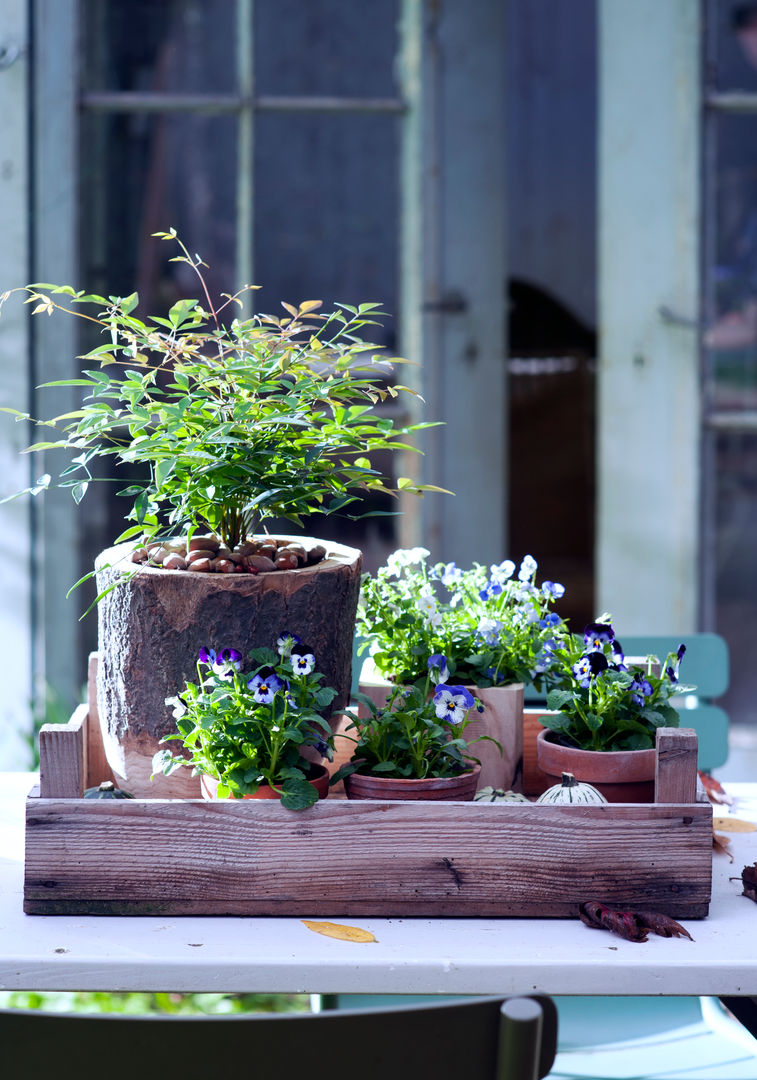 Herbstgarten, Pflanzenfreude.de Pflanzenfreude.de Jardines de estilo clásico