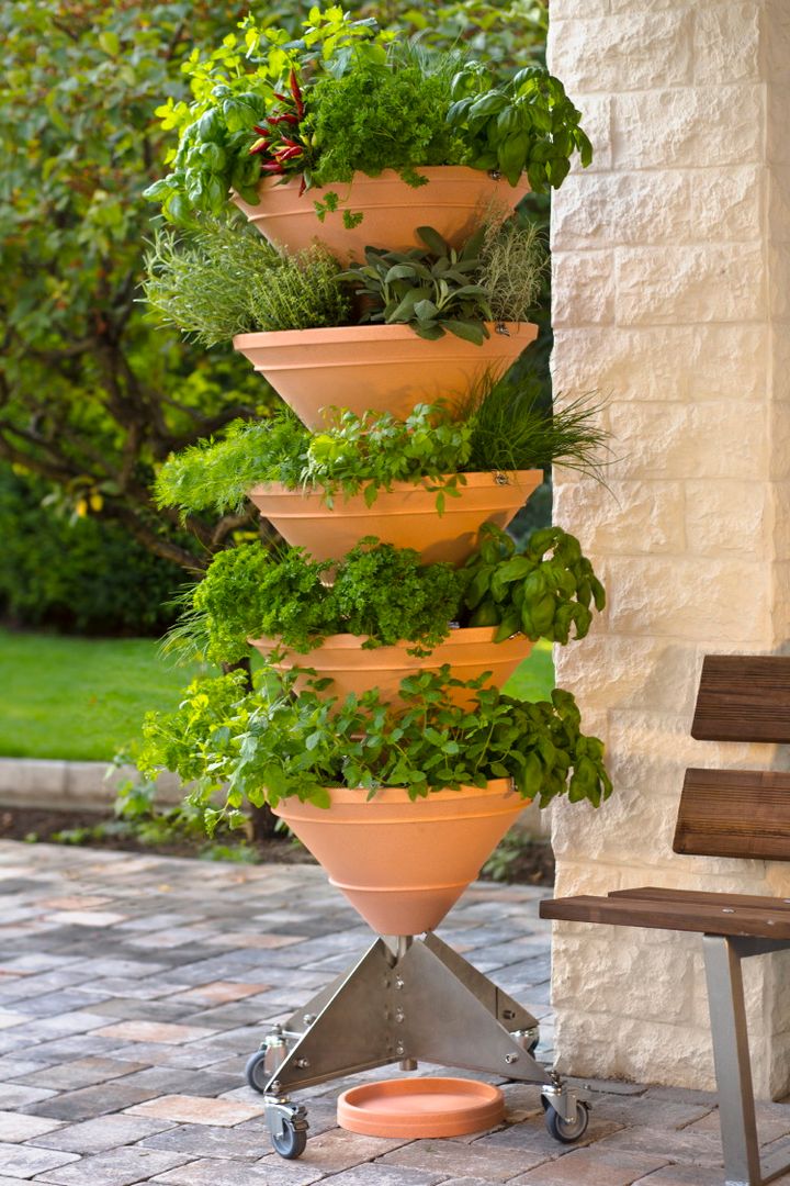 homify Balcones y terrazas minimalistas Plantas y flores