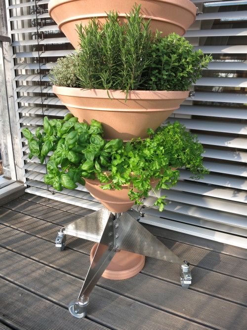 homify Balcones y terrazas minimalistas Plantas y flores