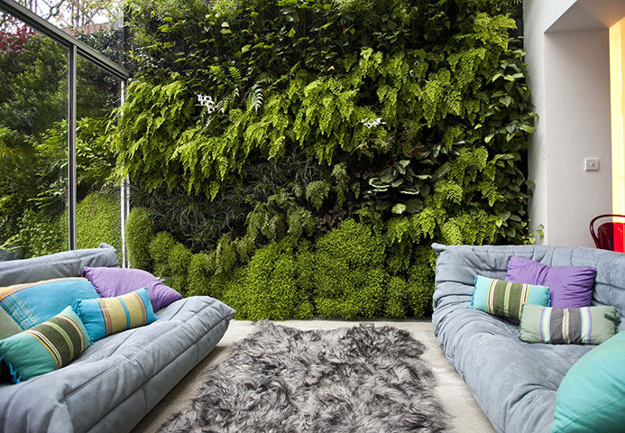 Jardines verticales, Green Gallery Green Gallery Modern style gardens