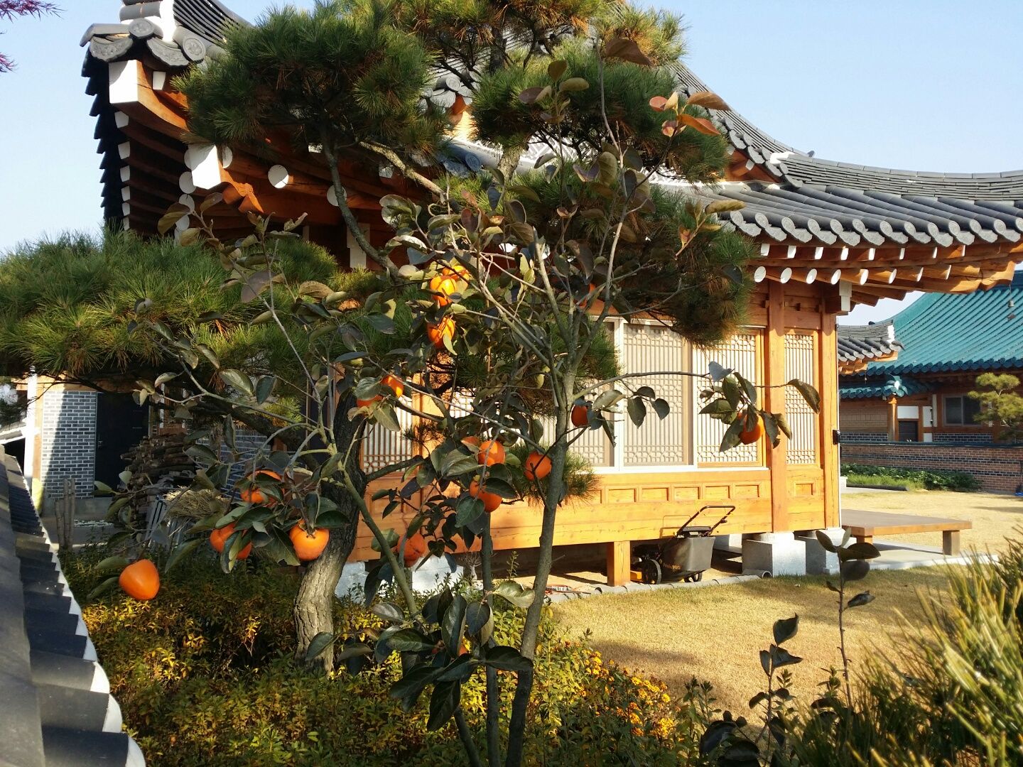 장흥리 한옥마을 내 주택, 금송건축 금송건축 Asian style houses