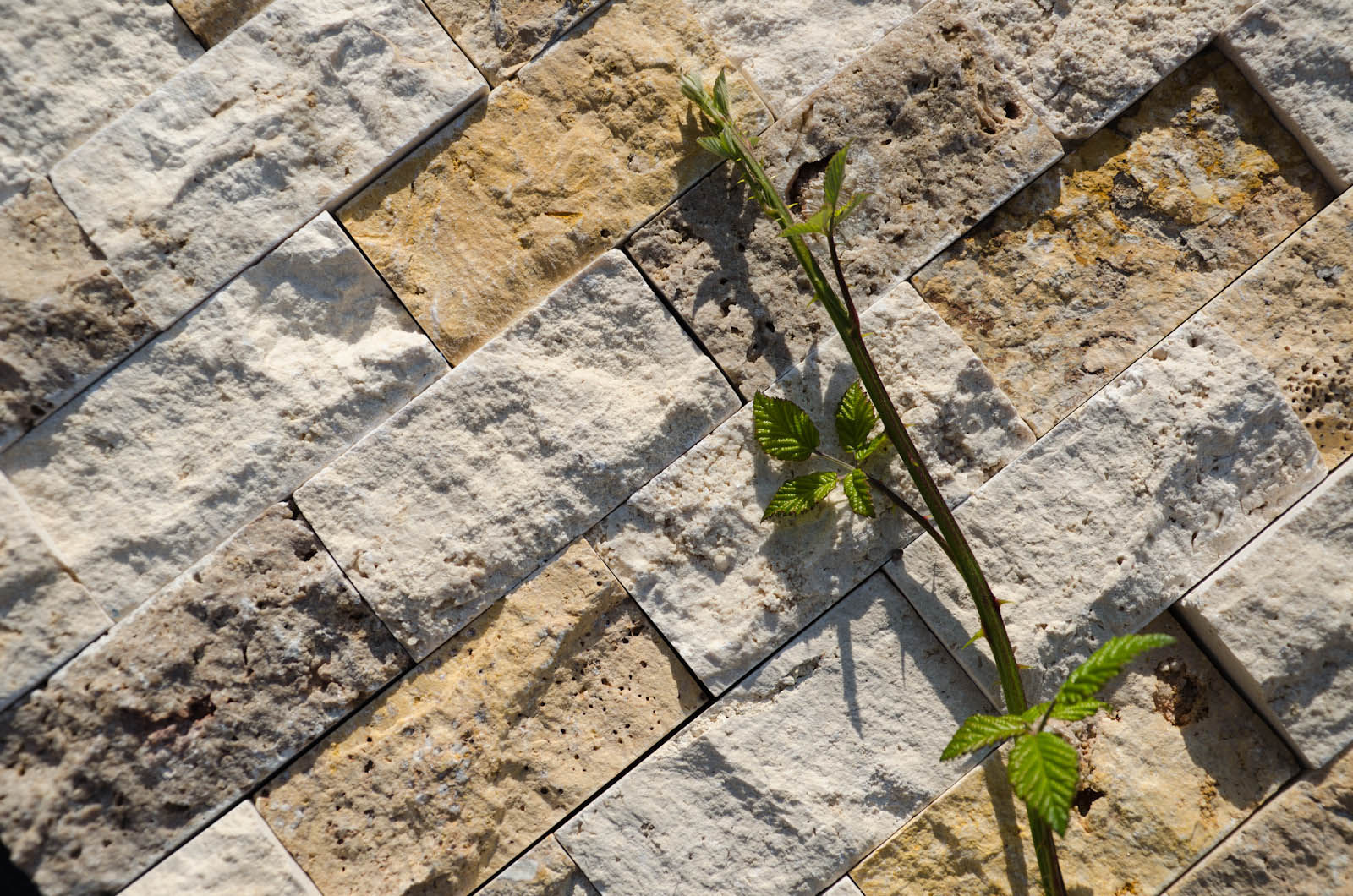 Mosaici in travertino, Pietre di Rapolano Pietre di Rapolano 컨트리스타일 벽지 & 바닥 돌 벽 & 바닥 커버