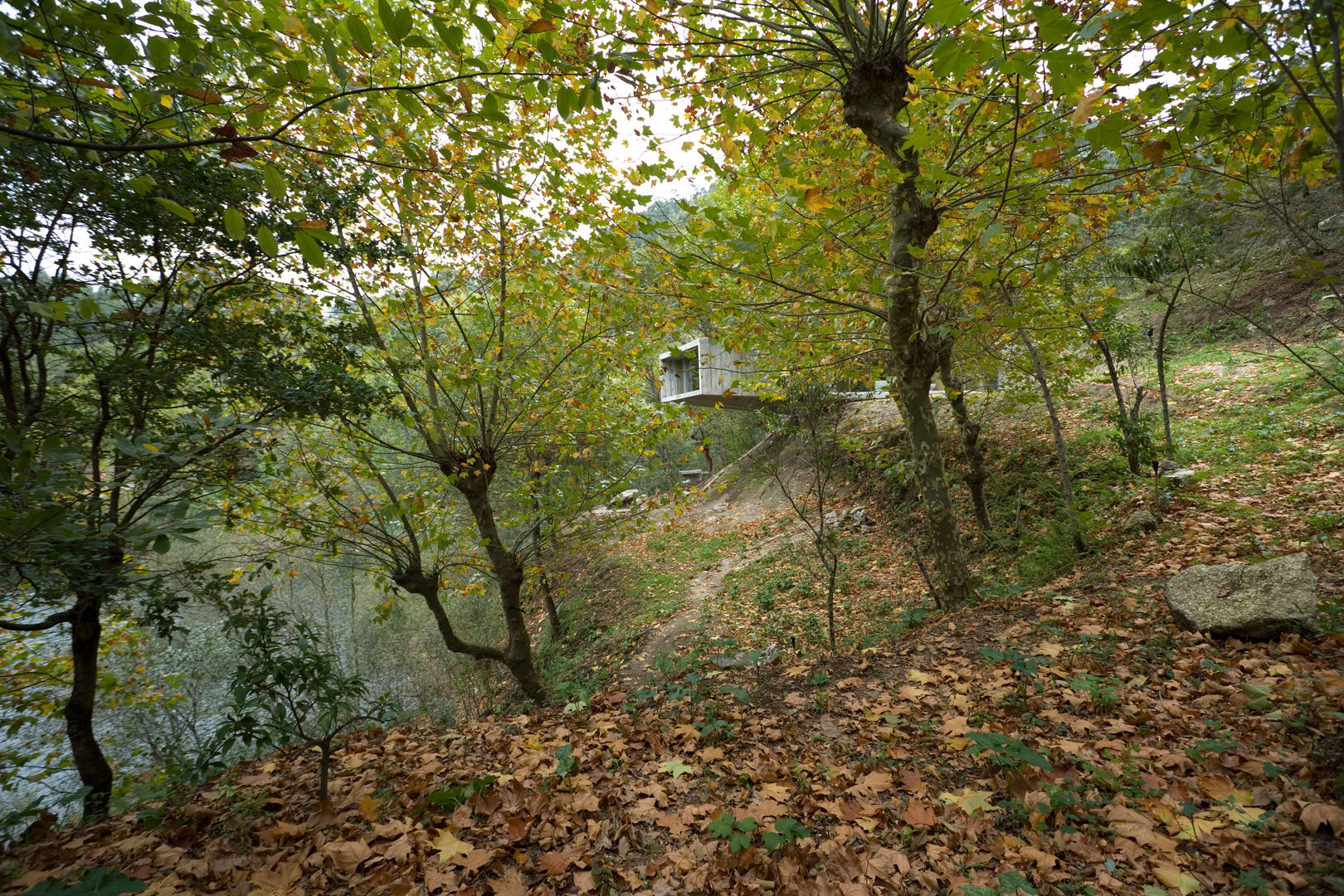 Casa no Gerês, CORREIA/RAGAZZI ARQUITECTOS CORREIA/RAGAZZI ARQUITECTOS บ้านและที่อยู่อาศัย