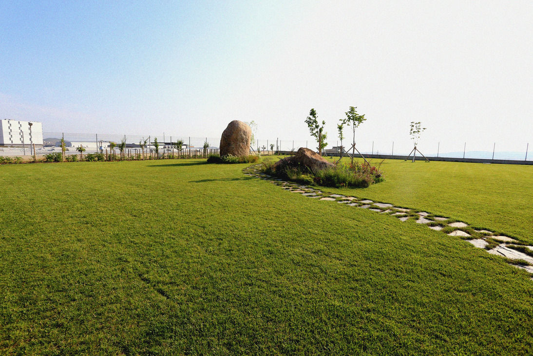 Asis Mimarlik, asis mimarlık peyzaj inşaat a.ş. asis mimarlık peyzaj inşaat a.ş. Mediterranean style garden