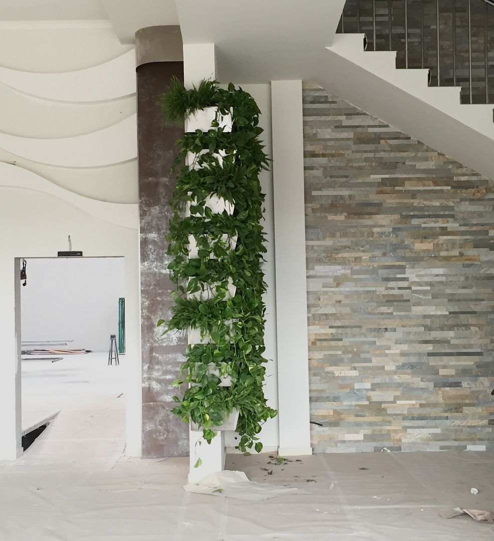 Parete verde verticale per interno., Tommaso Magaldi garden design Tommaso Magaldi garden design Комерційні приміщення Залізо / сталь Офіси та магазини