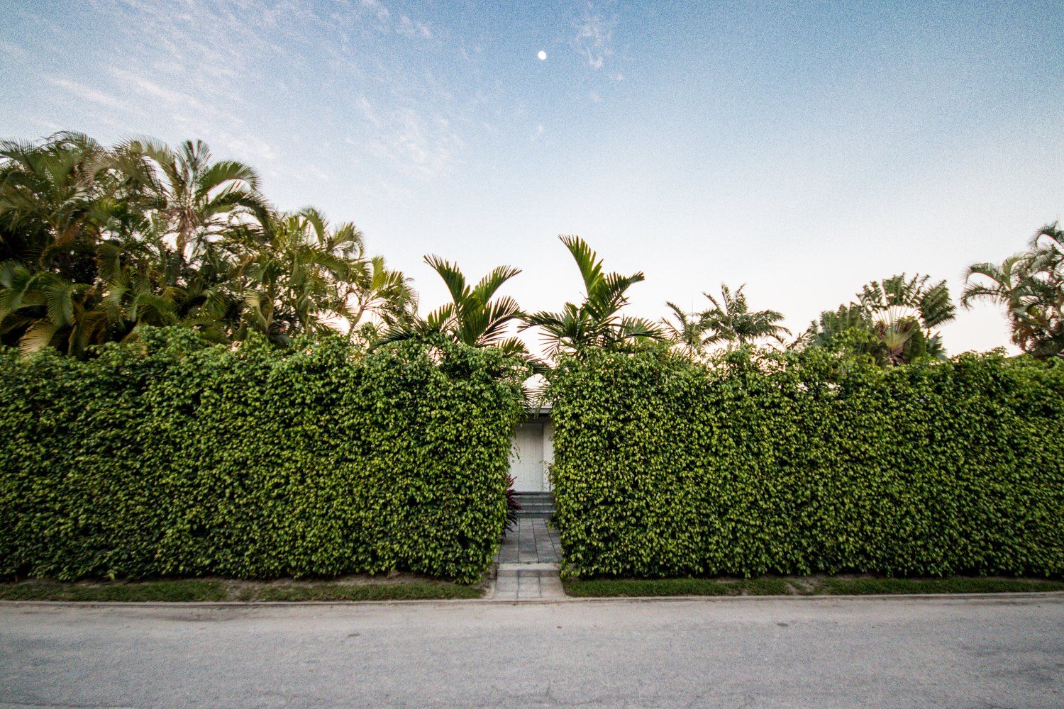 Dilido Island House-Miami 2, Elías Arquitectura Elías Arquitectura Modern style gardens