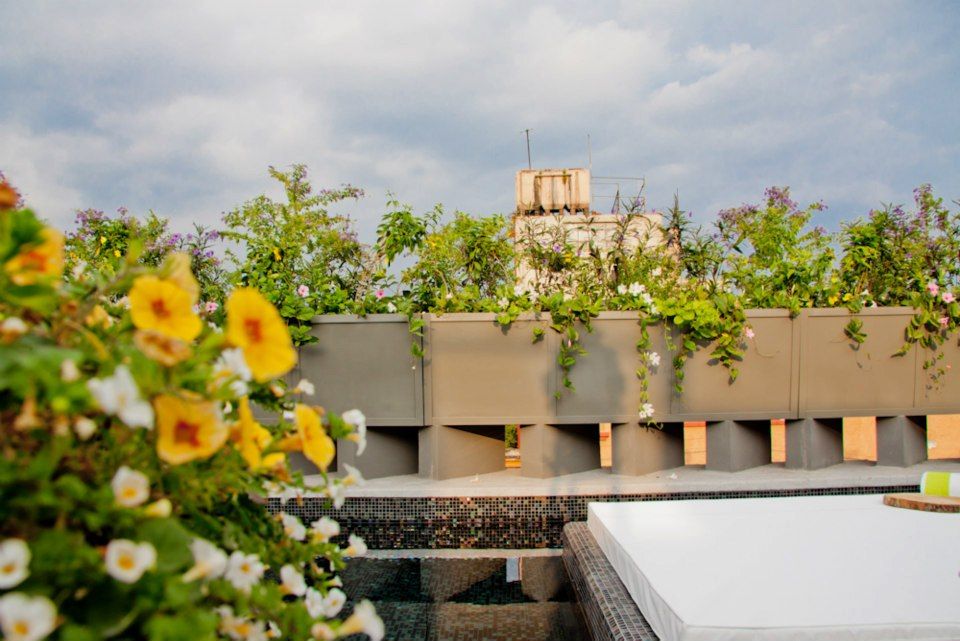 Flor de Mayo Hotel & Restaurant, Elías Arquitectura Elías Arquitectura Jardins modernos
