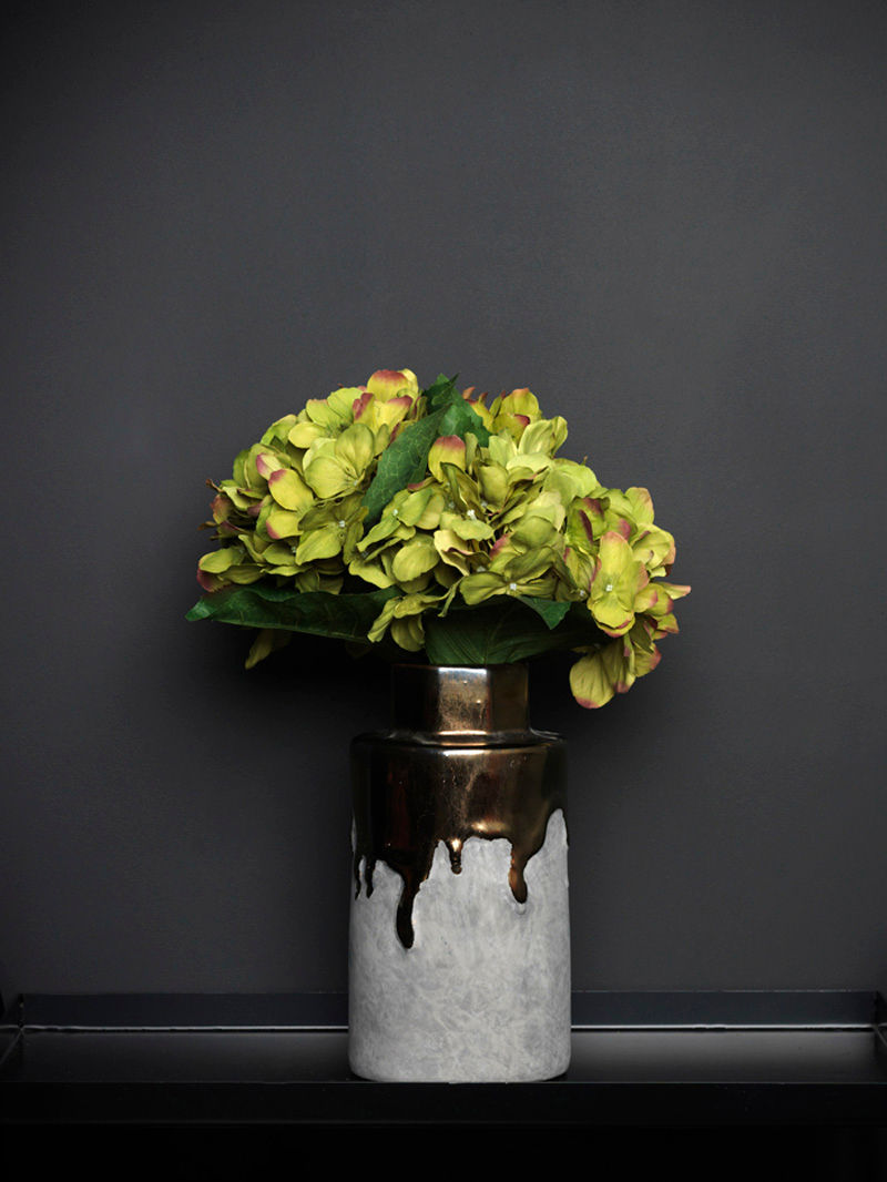 Green hydrangea stem Dust Jardines de estilo ecléctico Plantas y accesorios
