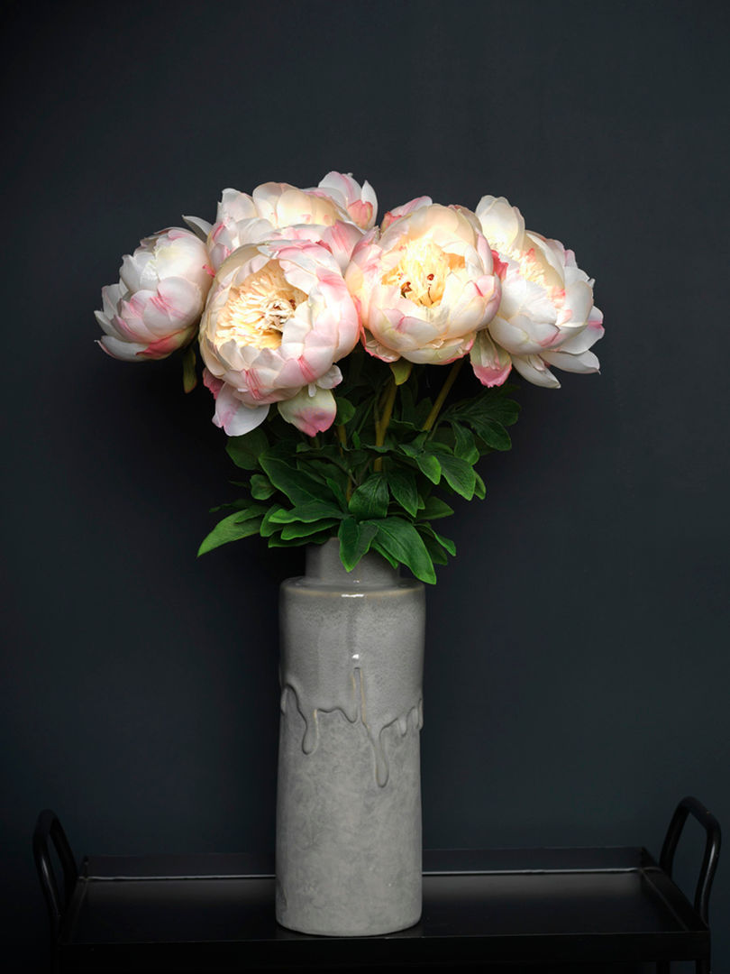 Large cream/pink Peony stem Dust オリジナルな 庭 植物＆アクセサリー