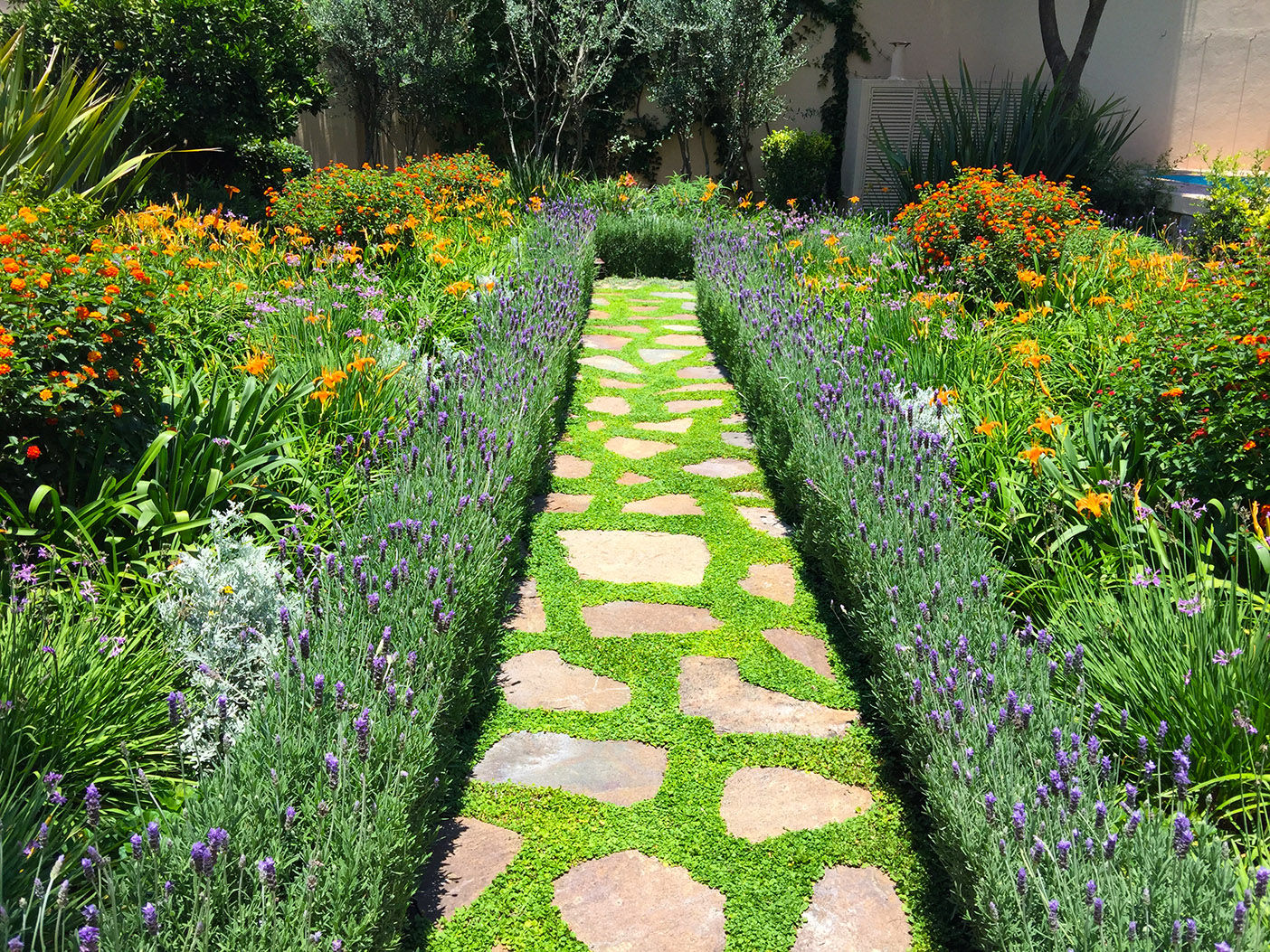 Jardin de Flores Terra Jardines de estilo moderno