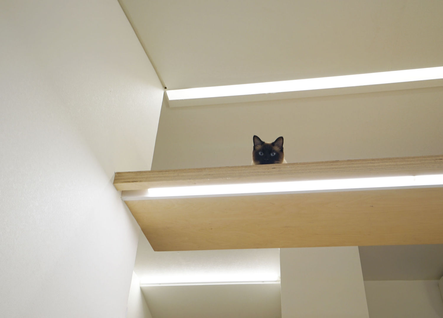 H 아파트 17평형 리모델링 ( 다락과 고양이), IDÉEAA _ 이데아키텍츠 IDÉEAA _ 이데아키텍츠 Ruang Makan Modern MDF