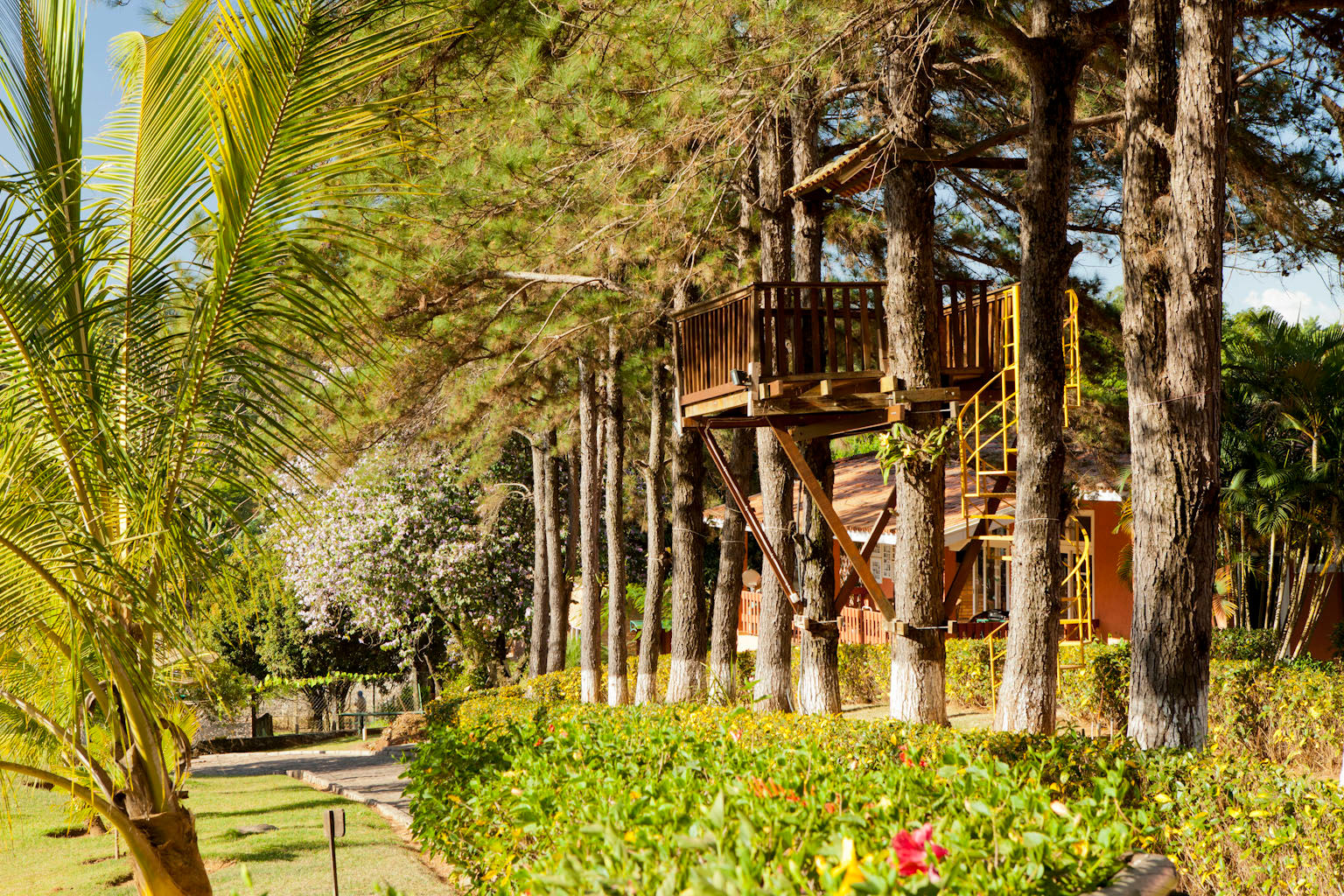 Casa de Campo Cabreúva, Cactus Arquitetura e Urbanismo Cactus Arquitetura e Urbanismo Casas rurales