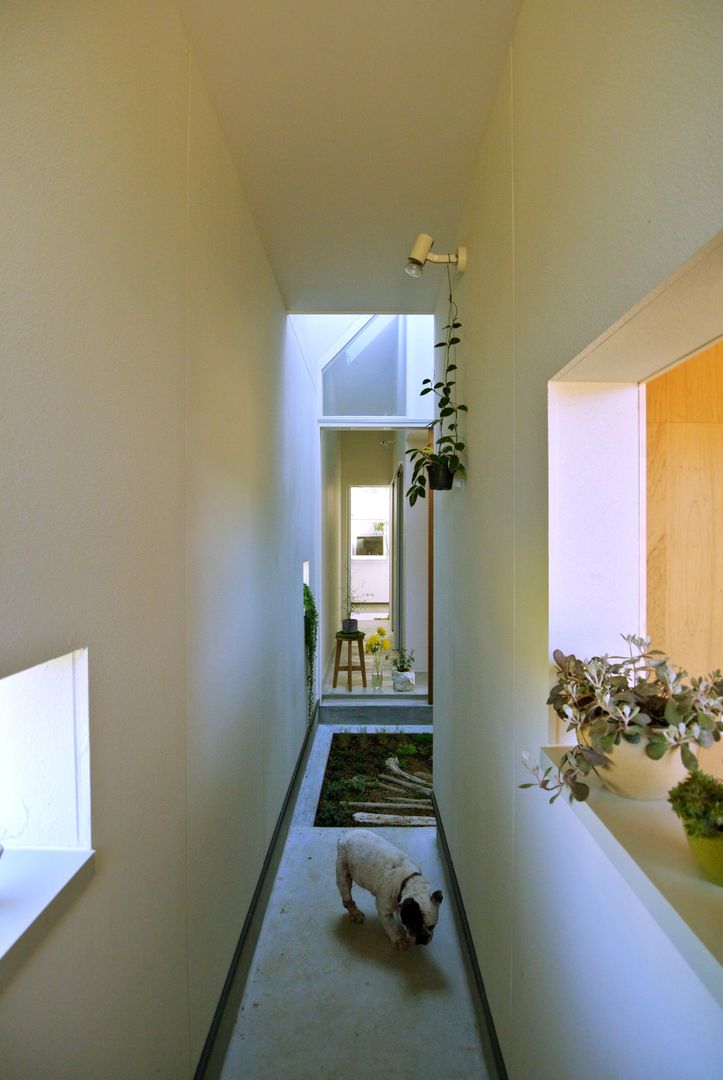 ​House for DONKORO, シキナミカズヤ建築研究所 シキナミカズヤ建築研究所 Jardines de estilo moderno