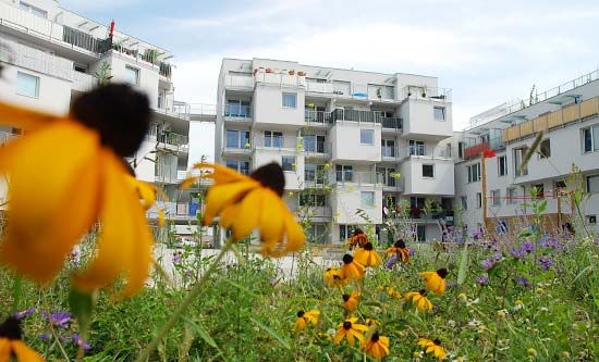 Wohnhausanlage BOA (OASE 22), Kräftner Landschaftsarchitektur Kräftner Landschaftsarchitektur Modern garden