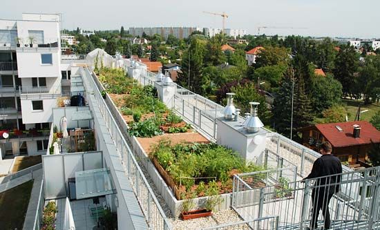 Wohnhausanlage BOA (OASE 22), Kräftner Landschaftsarchitektur Kräftner Landschaftsarchitektur Moderne tuinen