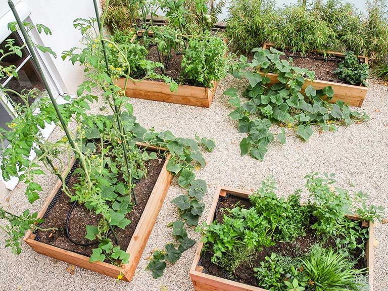 Hochbeete für Gemüse/Obst Kräftner Landschaftsarchitektur Mediterraner Garten