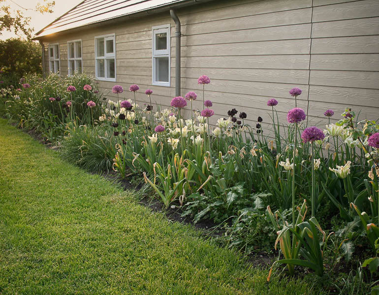 Landelijke tuin Bergen, Boekel Tuinen Boekel Tuinen Jardines de estilo rural