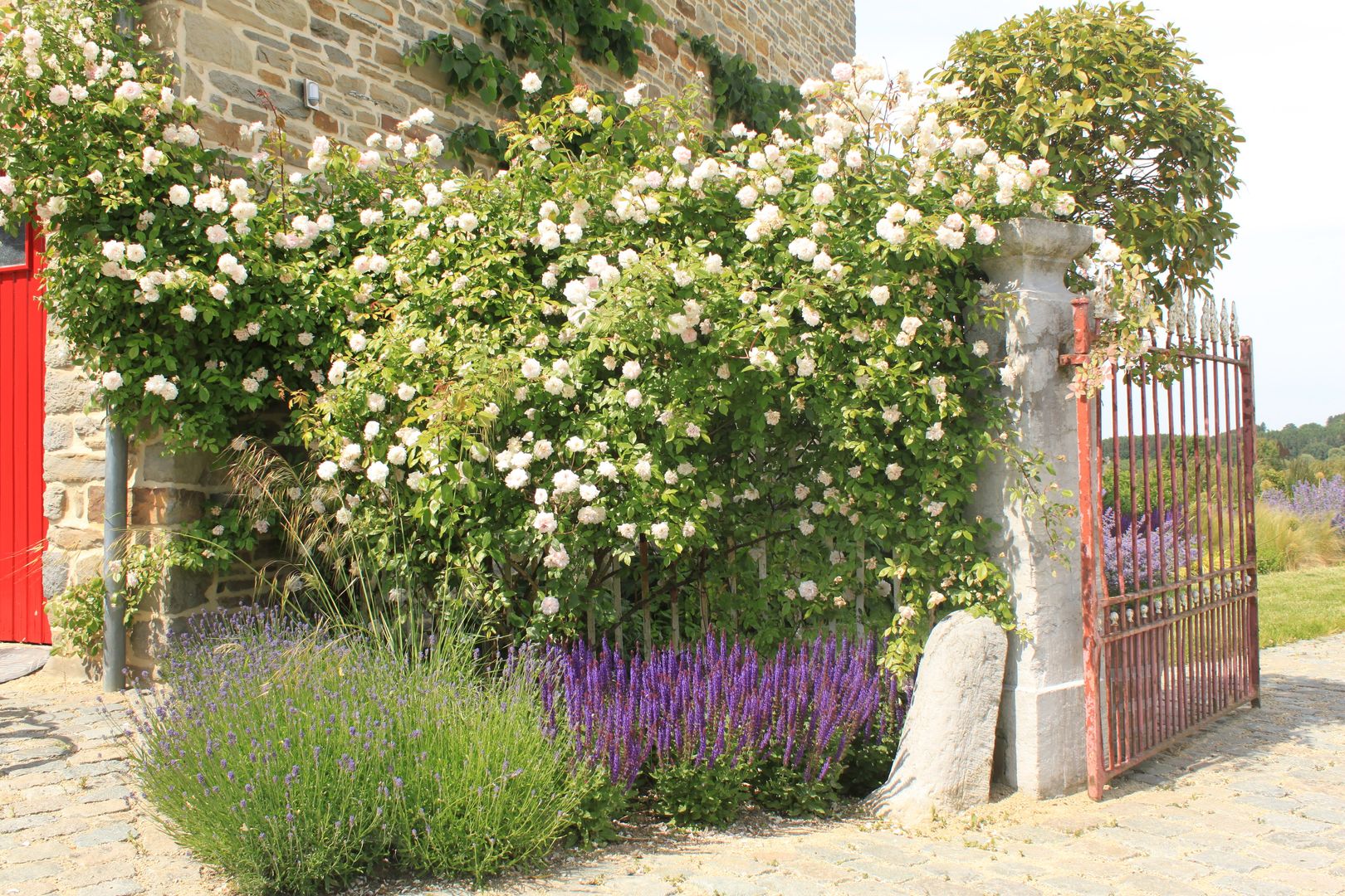 Bloementuin bij carre boerderij, Hoveniersbedrijf Guy Wolfs Hoveniersbedrijf Guy Wolfs Jardines de estilo rural