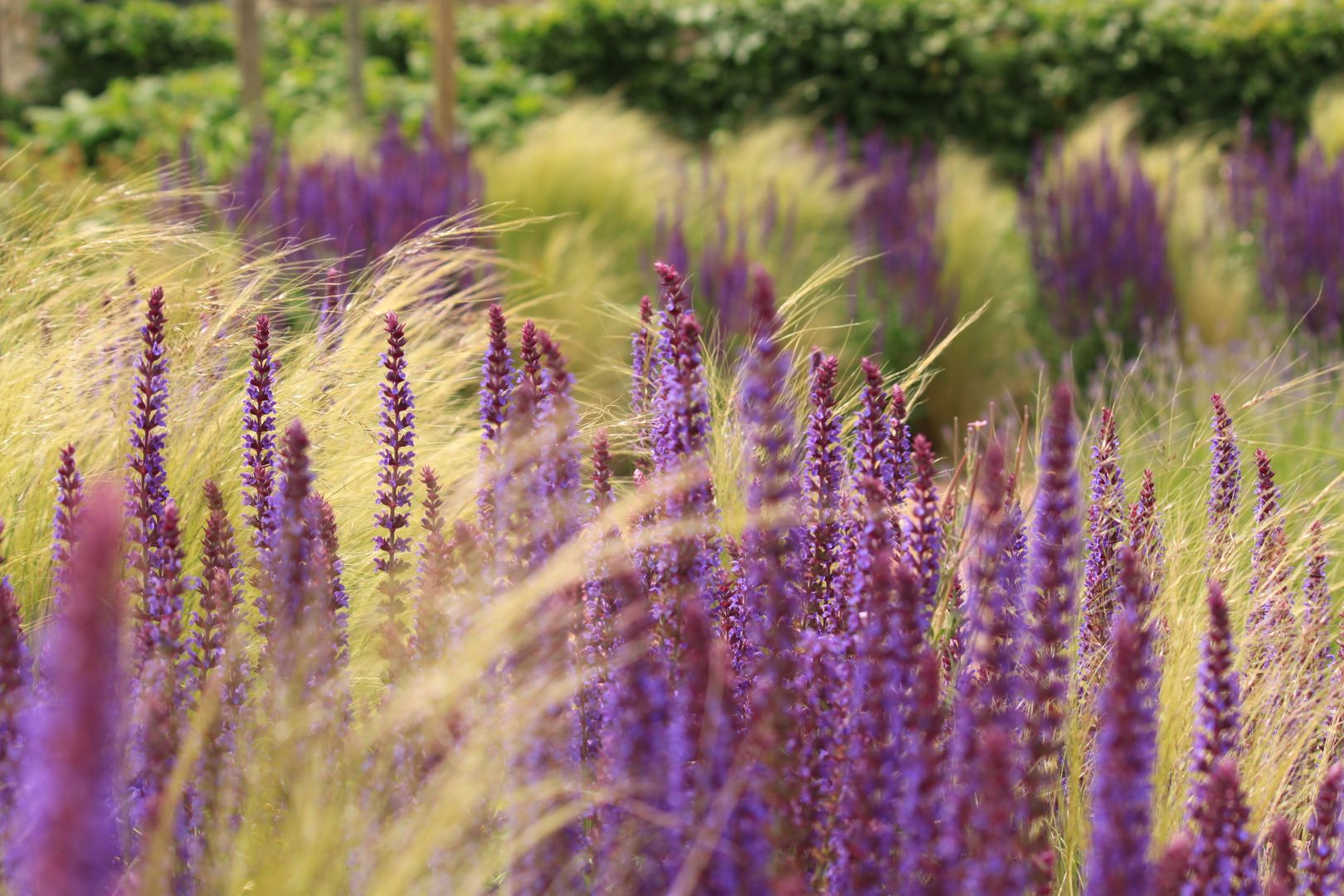 Bloementuin bij carre boerderij, Hoveniersbedrijf Guy Wolfs Hoveniersbedrijf Guy Wolfs Country style garden