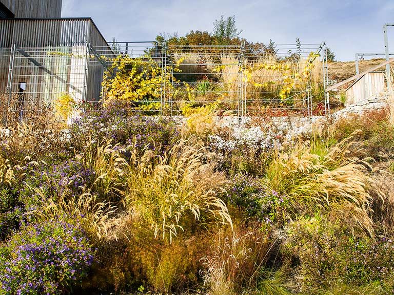 Hanggarten mit Aussicht, Kräftner Landschaftsarchitektur Kräftner Landschaftsarchitektur Jardines modernos: Ideas, imágenes y decoración