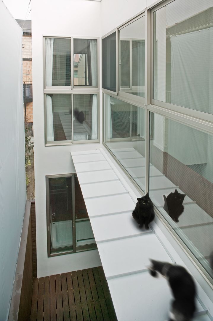 ペットと暮らす家－ＫＹＹ邸「減築」工事, 有限会社Ｙ設計室 有限会社Ｙ設計室 Moderner Balkon, Veranda & Terrasse
