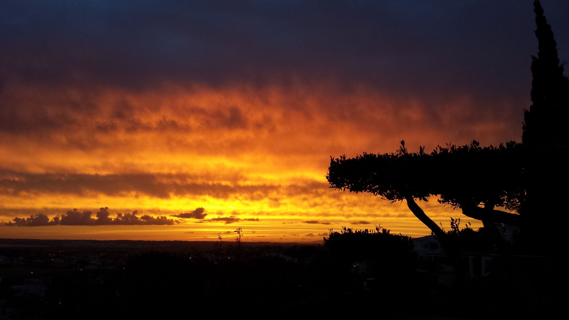 Casa Madeira, Riscos & Atitudes, Lda Riscos & Atitudes, Lda Nowoczesny balkon, taras i weranda