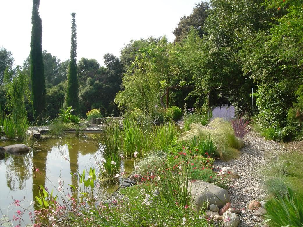 Estanque de Girona, abpaisajismo abpaisajismo Modern Garden