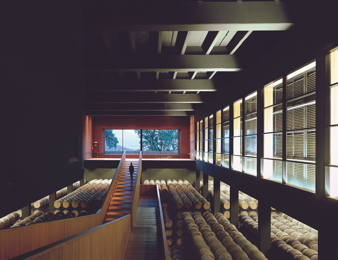 Campo Viejo Winery - Juan Alcorta Winery. Cask Aging area Ignacio Quemada Arquitectos Wine cellar Wood Wood effect