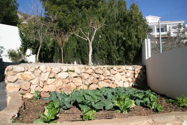 villa en el limonar malaga, Architect Hugo Castro - HC Estudio Arquitectura y Decoración Architect Hugo Castro - HC Estudio Arquitectura y Decoración حديقة