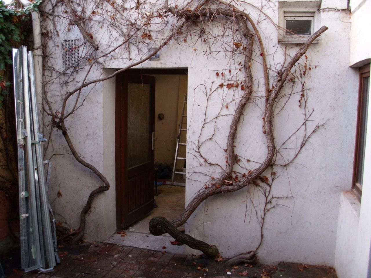 Patiowohnung, Wirth Architekten Wirth Architekten