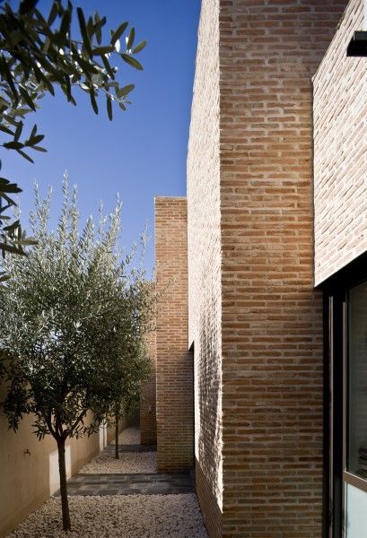 Impresionante Fachada e Interiores de Lujo en esta Casa, daniel rojas berzosa. arquitecto daniel rojas berzosa. arquitecto Сад