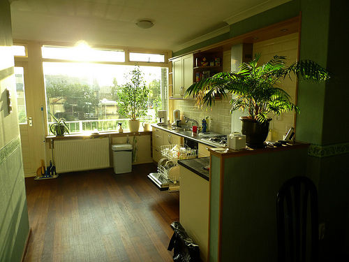 Kitchen plants Custom Media Cocinas clásicas Fibra natural Beige Accesorios y textiles