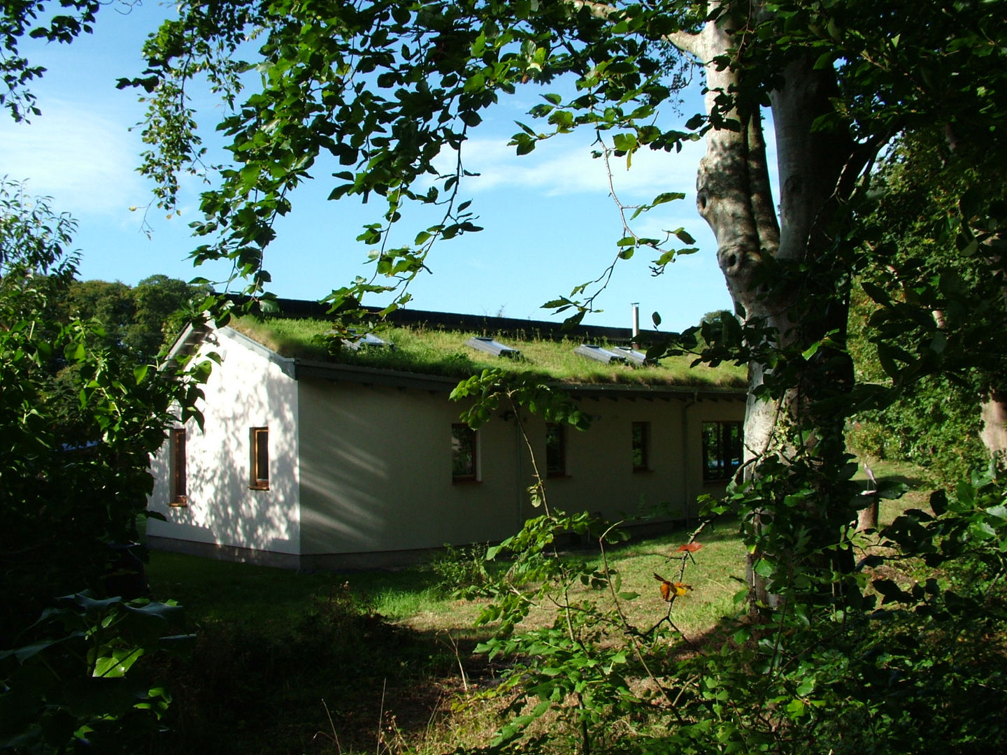 Hemp Cottage, Rachel Bevan Architects Rachel Bevan Architects カントリーな 家