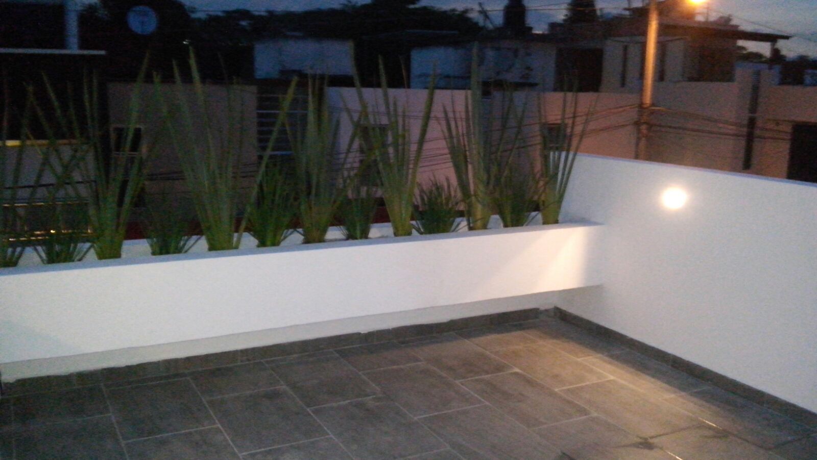 Jardines y jardineras, Bamboo design & garden Bamboo design & garden Modern terrace Plants & flowers