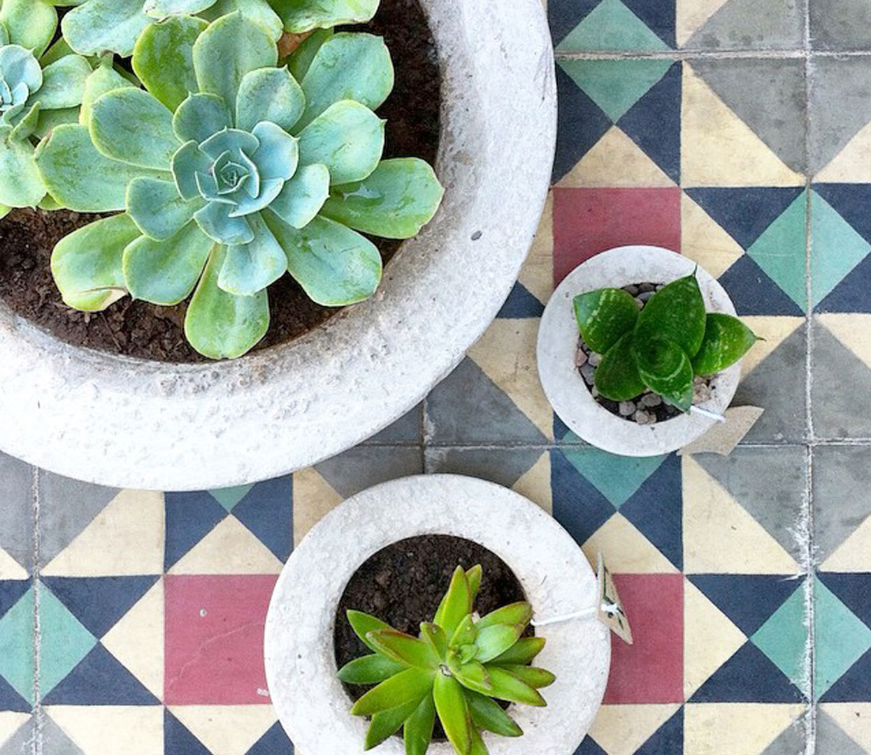 Macetas Concreto, EN.CONCRETO EN.CONCRETO Minimalist style garden Plants & accessories