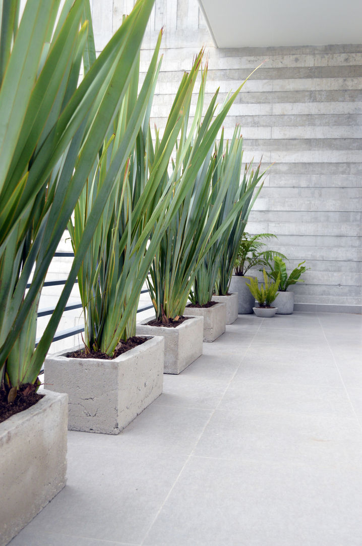 Macetas Concreto, EN.CONCRETO EN.CONCRETO Jardins minimalistas Plantas e acessórios