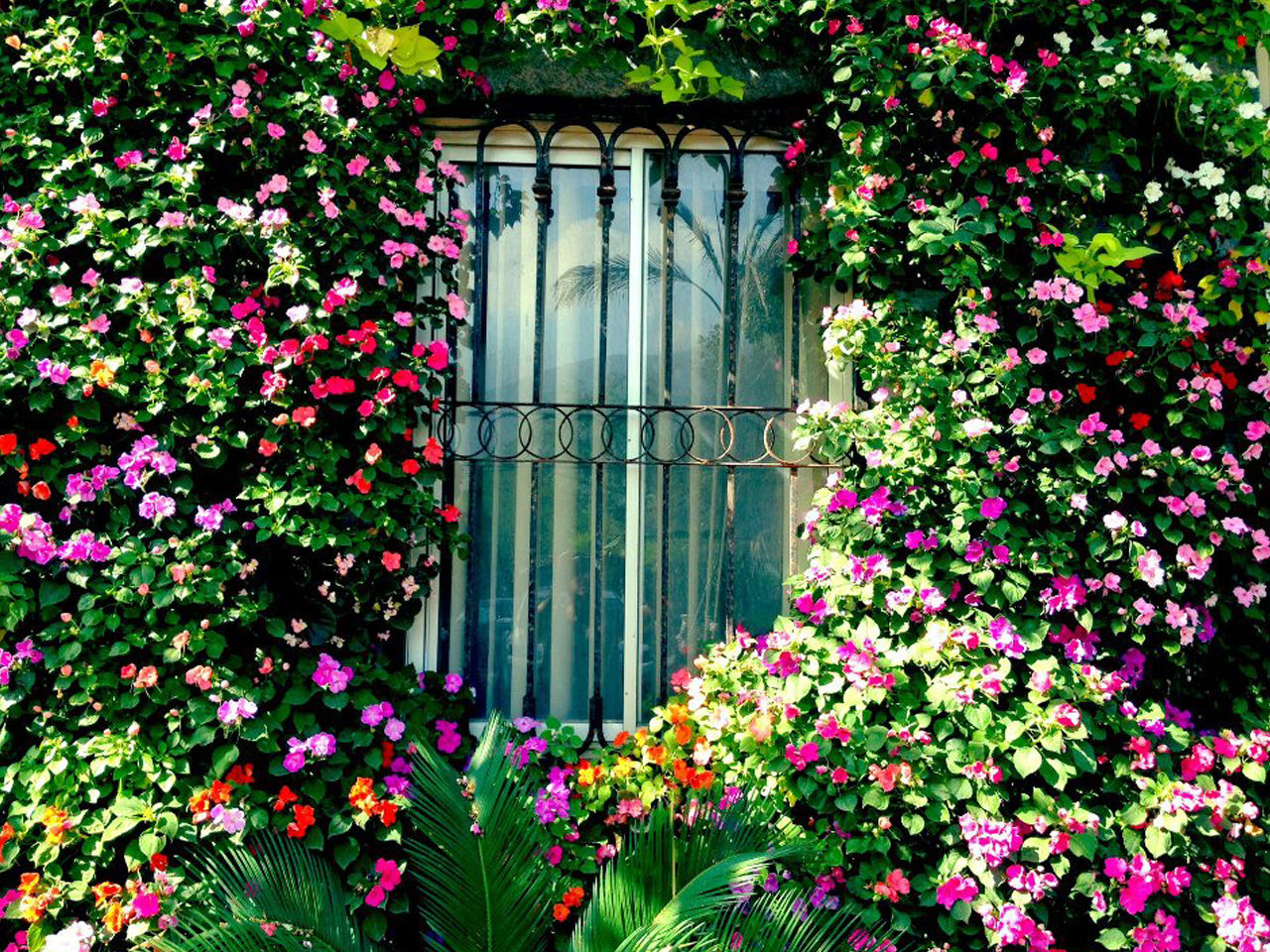 Jardines Verticales, HUICHOL HUICHOL Moderne Häuser