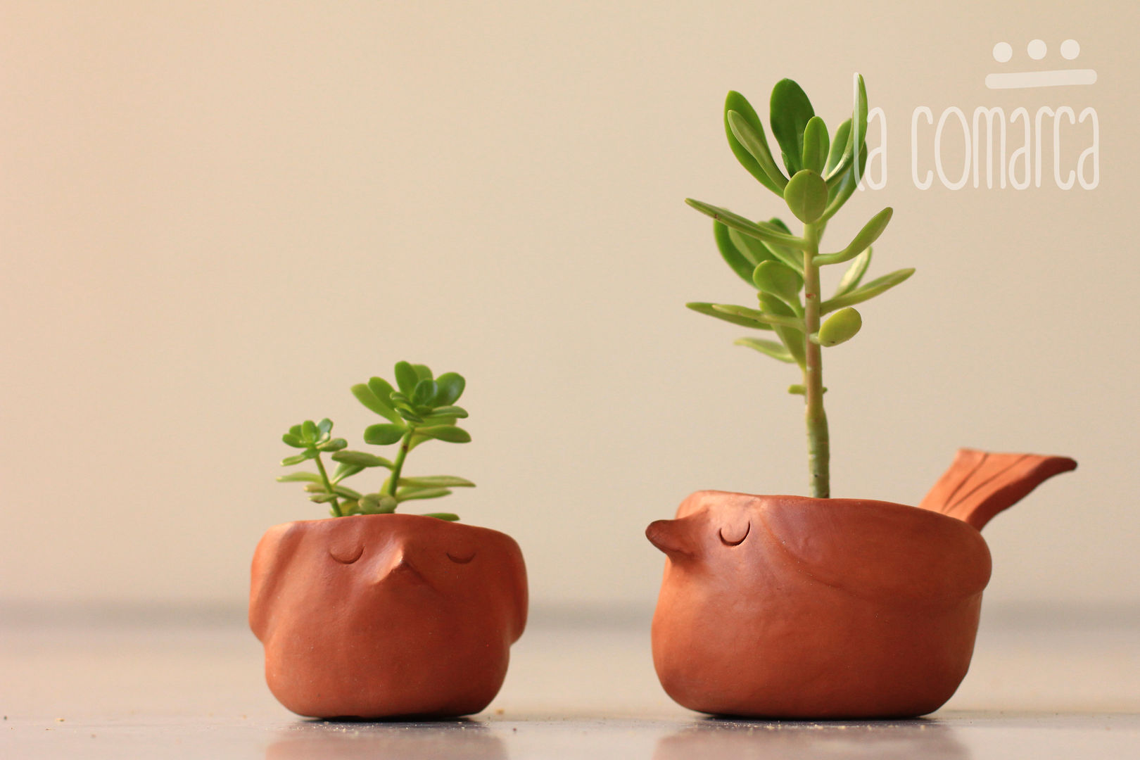 Objetos de decoración en cerámica, La comarca La comarca Jardins modernos Potes e vasos