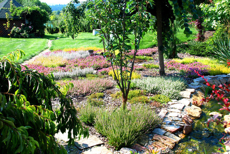 Wrzosowisko piękne o każdej porze roku, Centrum ogrodnicze Ogrody ResGal Centrum ogrodnicze Ogrody ResGal Jardines de estilo clásico Plantas y flores