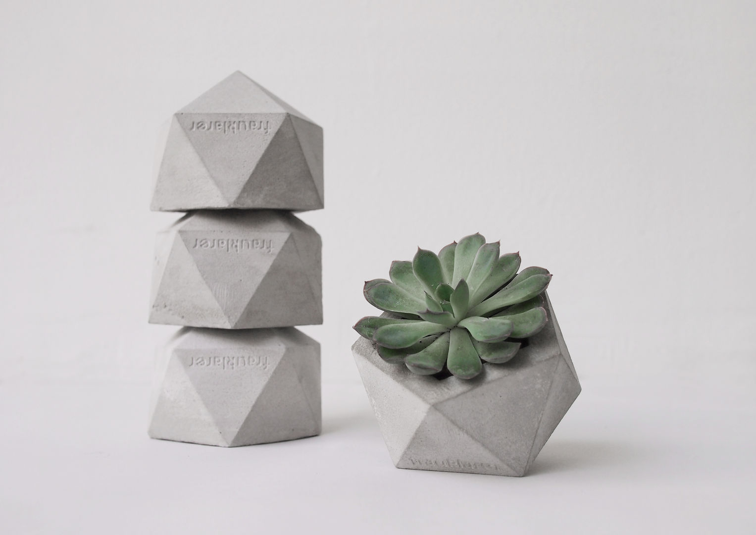 Icosahedron / Pflanzenübertopf aus Beton, frauklarer frauklarer 北欧デザインの リビング アクセサリー＆デコレーション