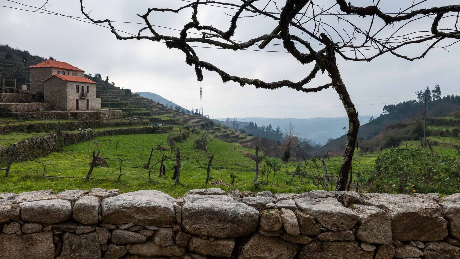 Casa de Campo na Aldeia da Felgueira, André Eduardo Tavares Arquitecto André Eduardo Tavares Arquitecto Casas de estilo rural