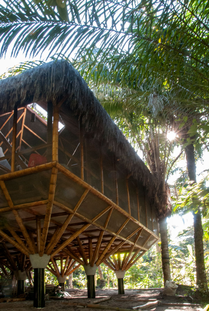 Universo Pol - Morro de San Pablo, IR arquitectura IR arquitectura Paredes e pisos tropicais Bambu Verde