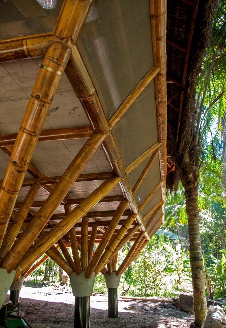 Universo Pol - Morro de San Pablo, IR arquitectura IR arquitectura Tropical style balcony, veranda & terrace Bamboo Green