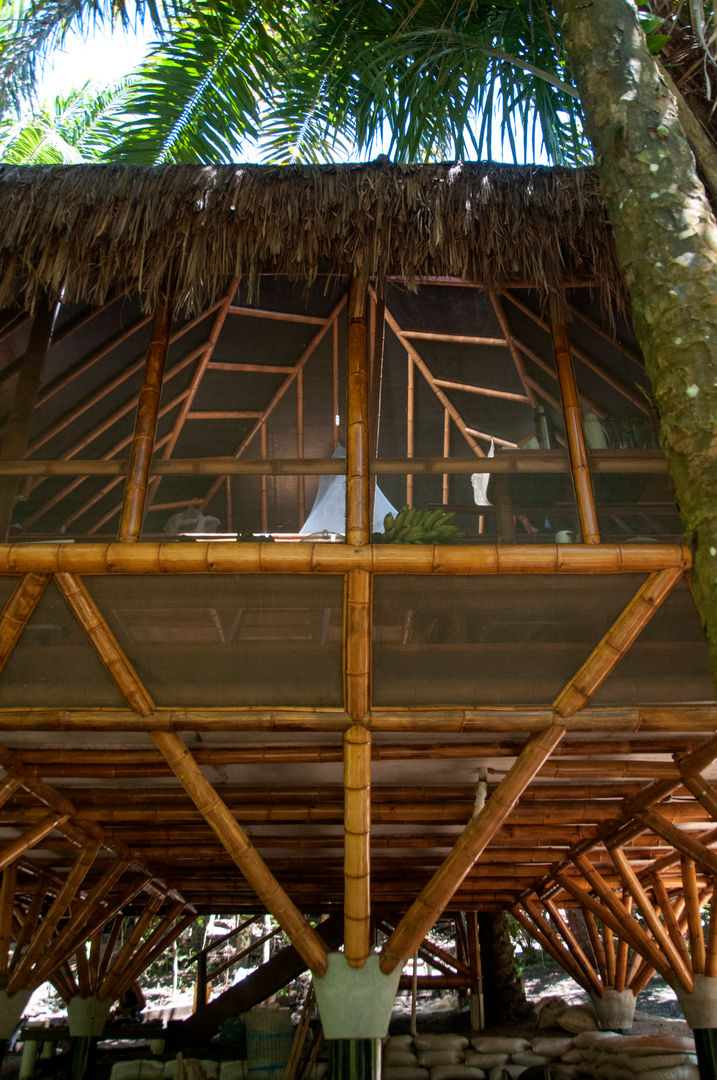 Universo Pol - Morro de San Pablo, IR arquitectura IR arquitectura Egzotyczny balkon, taras i weranda Bambus Zielony