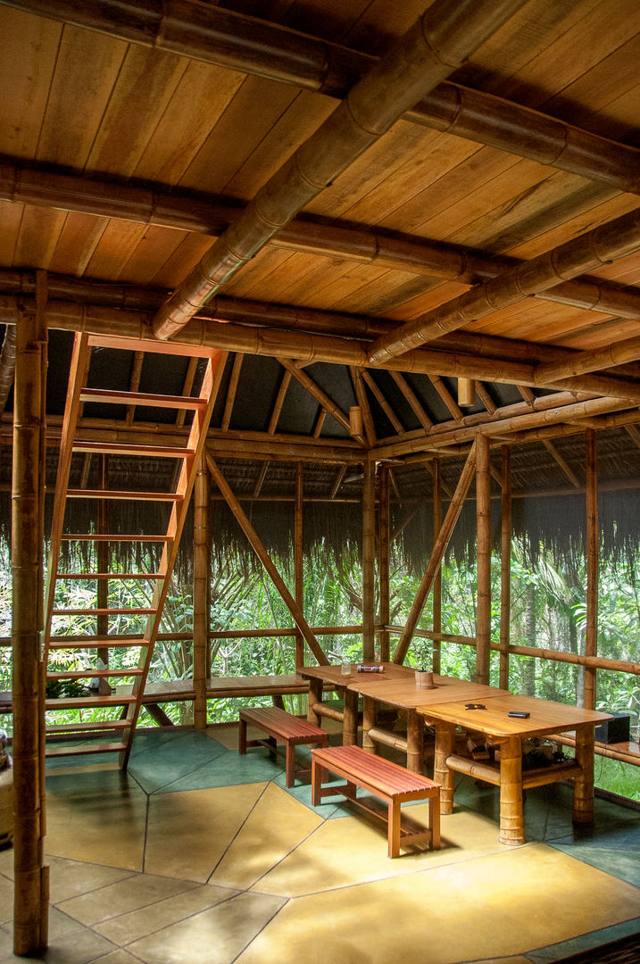 Universo Pol - Morro de San Pablo, IR arquitectura IR arquitectura Salas de jantar tropicais Bambu Verde