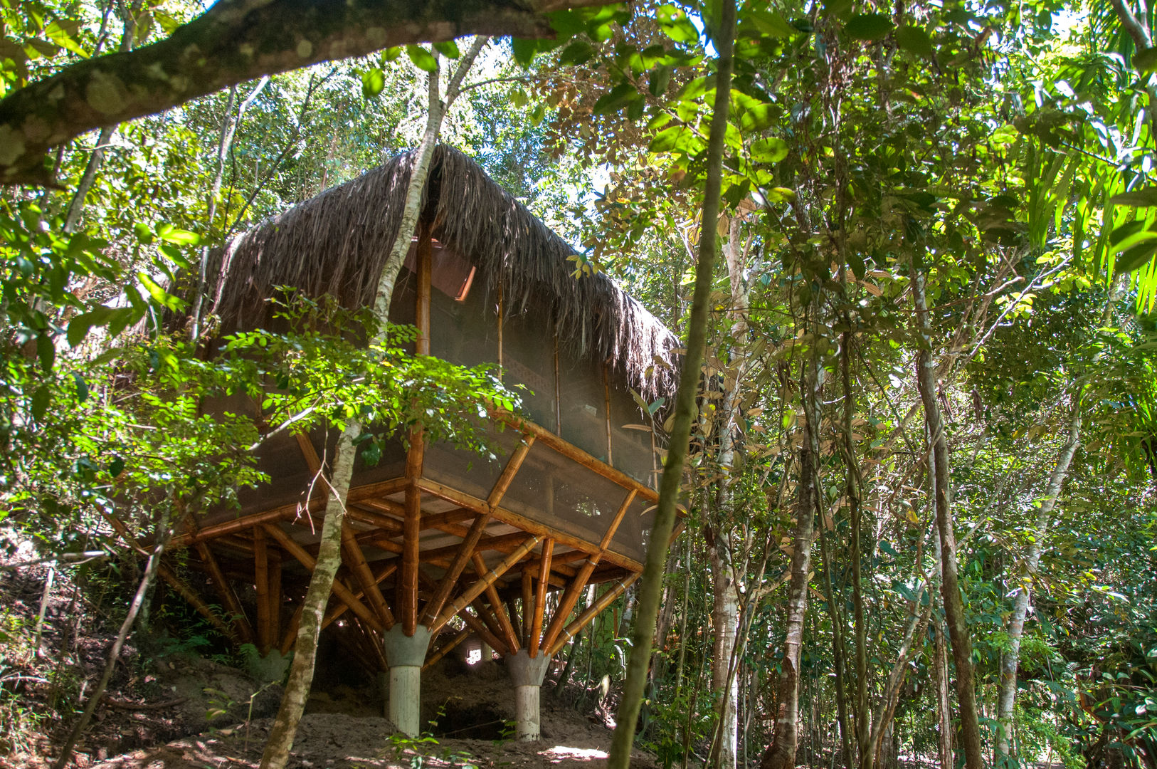 Universo Pol - Morro de San Pablo, IR arquitectura IR arquitectura Casas tropicales Bambú Verde