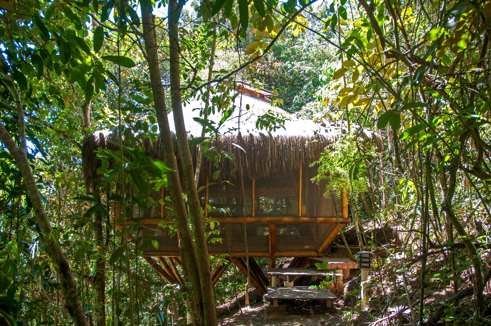 Universo Pol - Morro de San Pablo, IR arquitectura IR arquitectura Casas tropicais Bambu Verde
