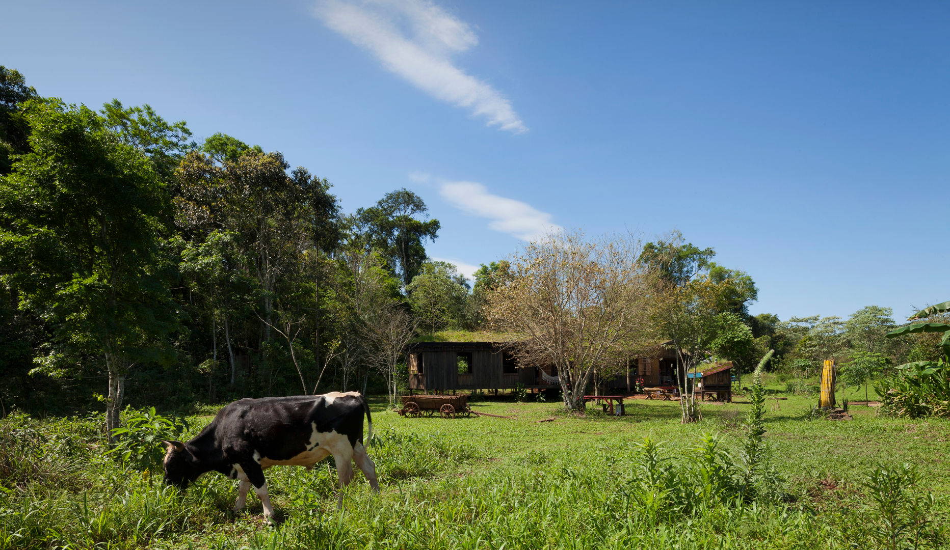Comuna Yerbas del Paraiso - Misiones, IR arquitectura IR arquitectura Country style houses Solid Wood Multicolored