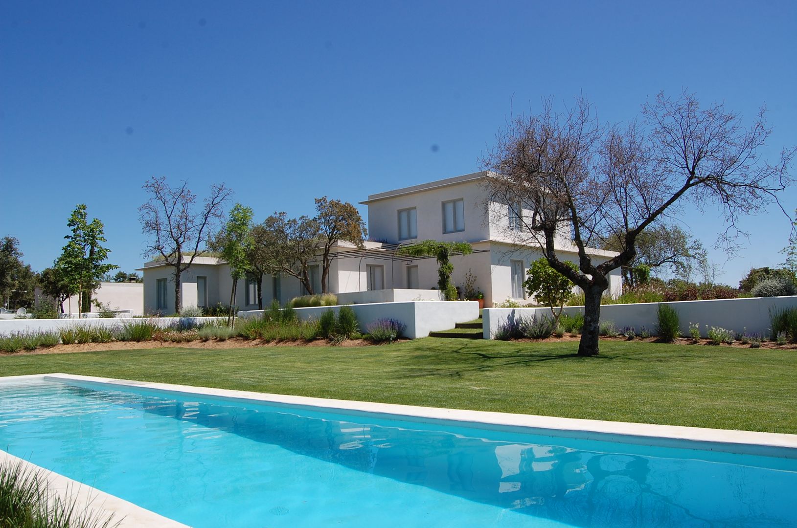 Desde la piscina Alen y Calche S.L. Jardines mediterráneos